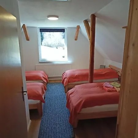 Penzion Haus Waldschaenke Erlbach (Saxony)