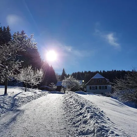 Haus Waldschaenke Penzion *