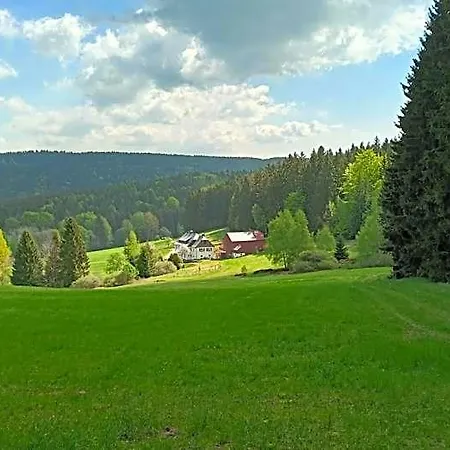 Haus Waldschaenke Penzion *
