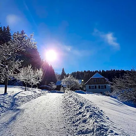Penzion Haus Waldschaenke *