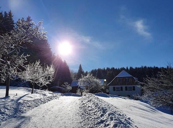 Haus Waldschaenke Inn *